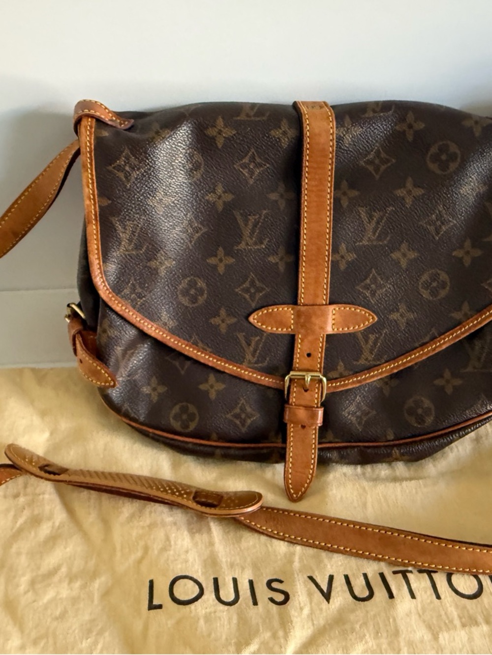Louis Vuitton Monogram Canvas Crossbody Saddle Bag in Brown and Tan
